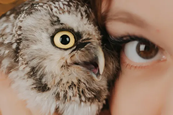 Casino AllStar Slots Suporte